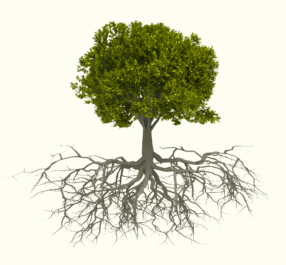 baum neu